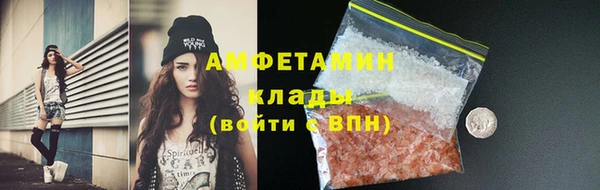 мдпв Кодинск