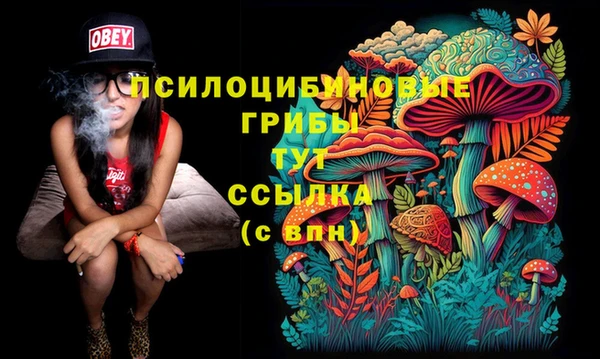 мдпв Кодинск