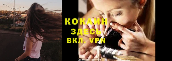 мдпв Кодинск
