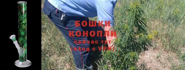 мдпв Кодинск