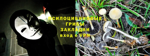мдма Козельск