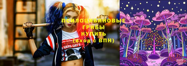 молекула духа Киренск
